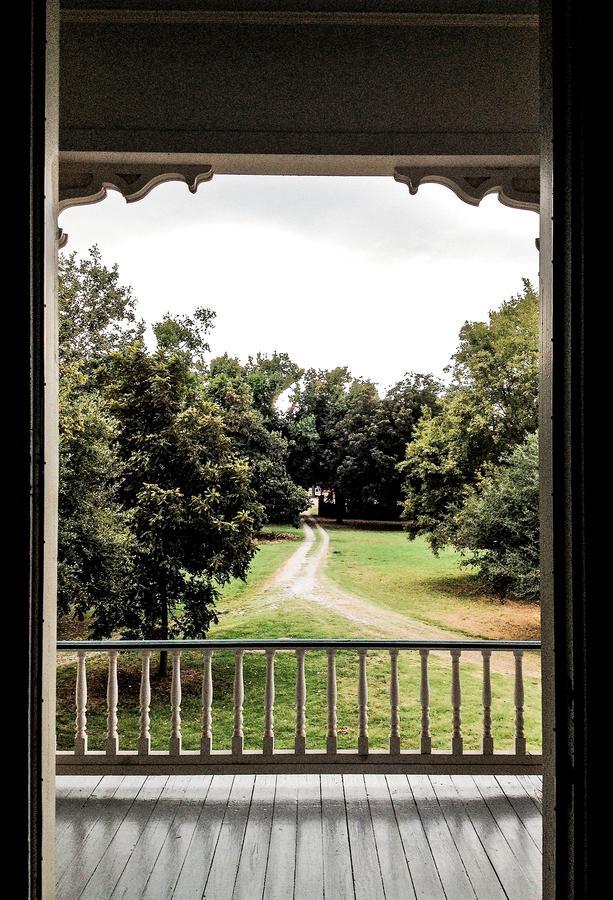 Belmont Plantation, Est 1857 Bed and Breakfast Greenville Eksteriør billede